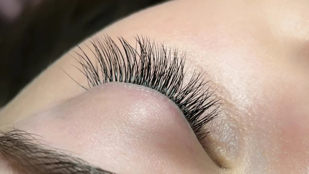 Volume Lashes