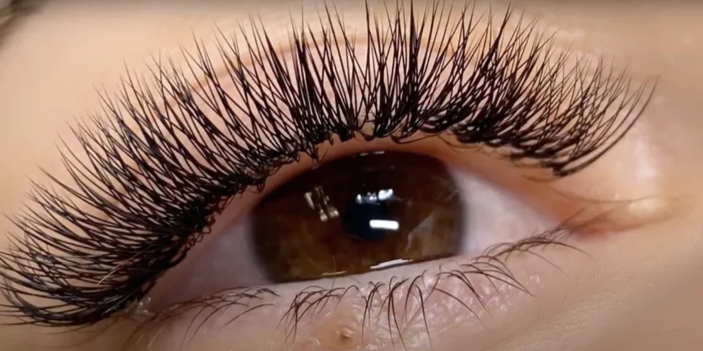 classic vs volume lashes