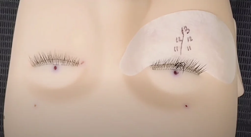 Anime Lash Extensions