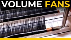 Volume Lash Technique